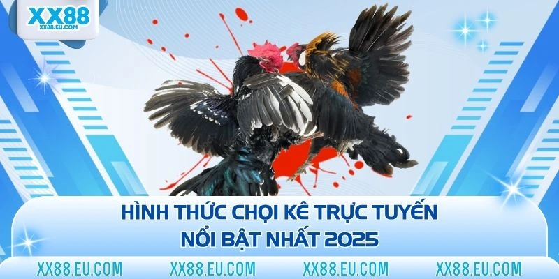 Hình thức chọi kê trực tuyến nổi bật nhất 2025